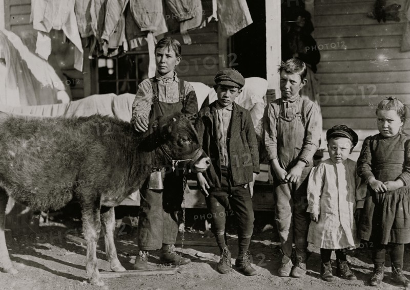 Boy with calf is Pamento Benson. Raising it for beef. 1908