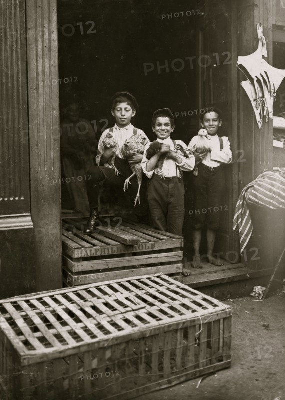 Young Jewish Chicken Vendors,  1908