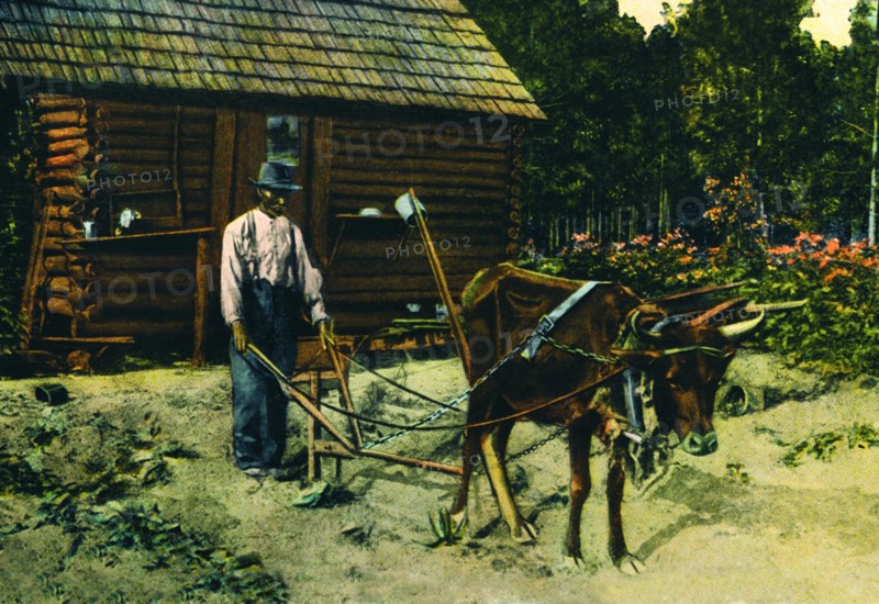 Ox-Plow 1918