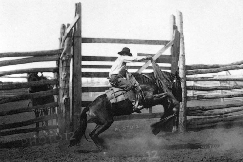 Bronco Busting 1904