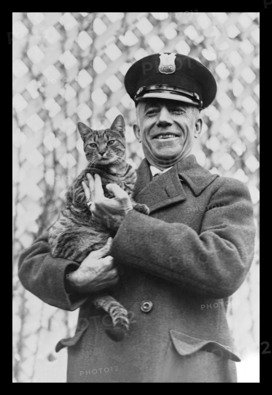 "Tige" the White House Cat - Safe and Sound 1924