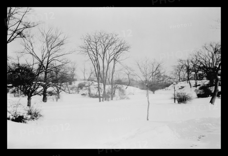 First Snow of the Season in Central Park