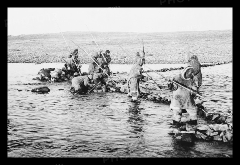 Inuit killing salmon with spears
