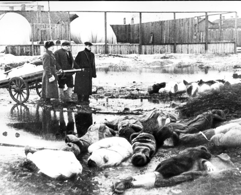 world war ll: seige of leningrad (1942), volkovo cemetry.