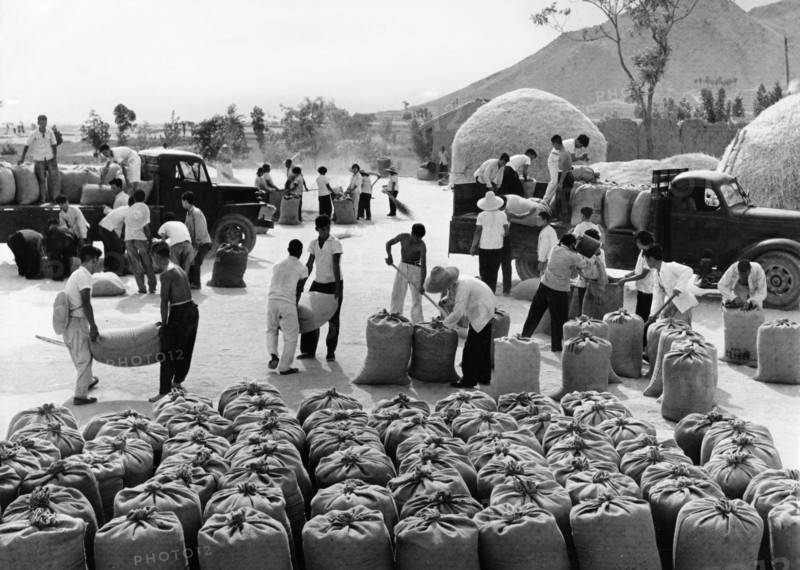 Members of the yangtan brigade of the yangtan people's commune in chungo county in the northern chinese province of shansi, loading wheat they have dried to be delivered to the state to support the socialist construction, 1967.