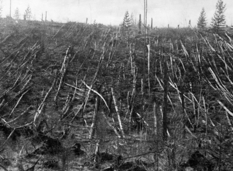 Siberian taiga forest that was flattened by the blast from the tunguska meteorite near where the meteorite fell in 1908, this picture was taken during professor leonid kulik's 1938 expedition to investigate the event.