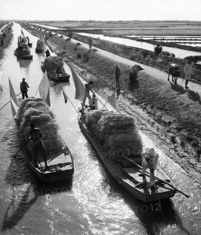 Irrigation canals provide transportation and water to wheat fields near the north bank of the yellow river, wheat acreages have reportedly been greatly enlarged in this area by the reduction of the soil's alkali content, which had kept production dismally low prior to the mid 1950s, china, 1960.