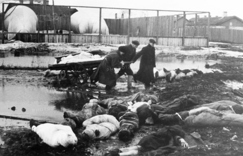 Leningrad blockade: relatives were so weak from hunger that they hand no strength to bury their dead, bodies were taken to the edge of the city and people given extra rations to bury the dead.