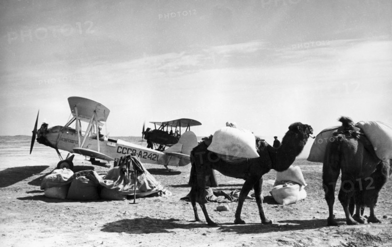 Saxaul seeds delivered by camel caravan to the airport to be loaded onto an aeroflot polikarpov po-2 (u-2), the plane will sow the seeds by air to propagate a forest of the shrub-like tree in the desert, turkmenistan, ussr, 1963.