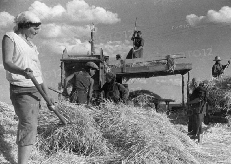 A jewish kolkhoz in stalindorf - national jewish district, ukraine, ussr, harvest time.