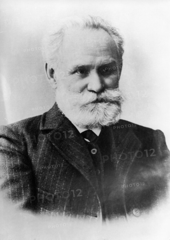 Portrait of ivan pavlov in the 1920s.