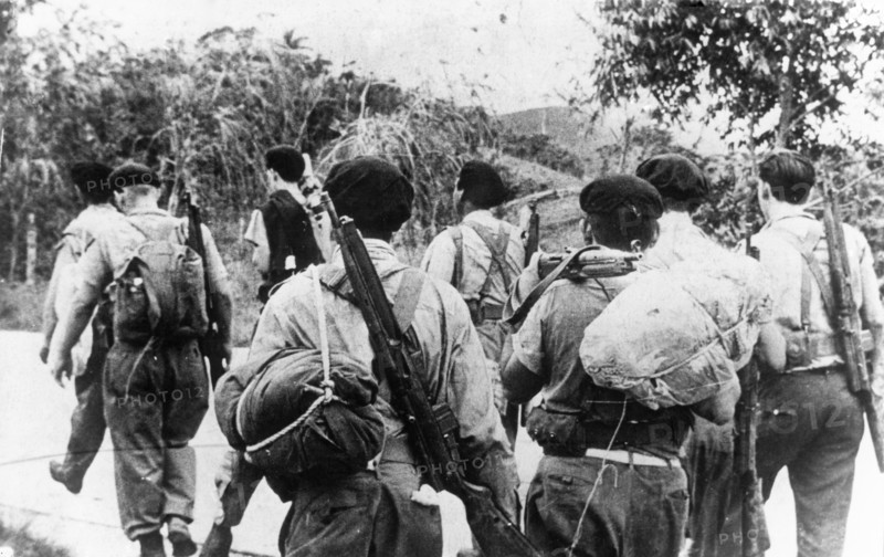 Bay of pigs, 1961