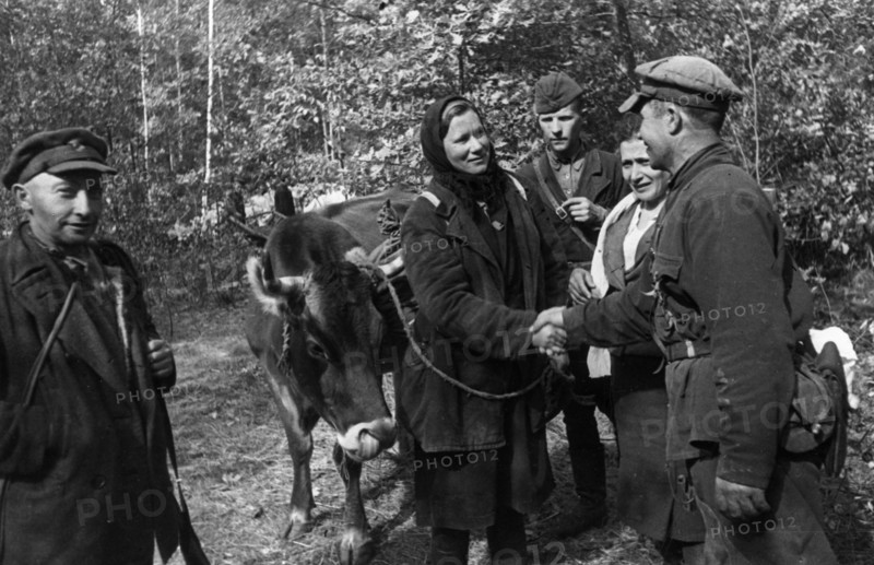 World war 2, collective farmer maria korshun bidding fairwell to fellow partisans as she leaves for her native village, the detachment gave her a cow seized from the germans to replace the one that was pillaged from her farm, she fought in the partisan ranks for 25 months, after her detachment merged into the red army, she returned home, she's been recommended for decoration.