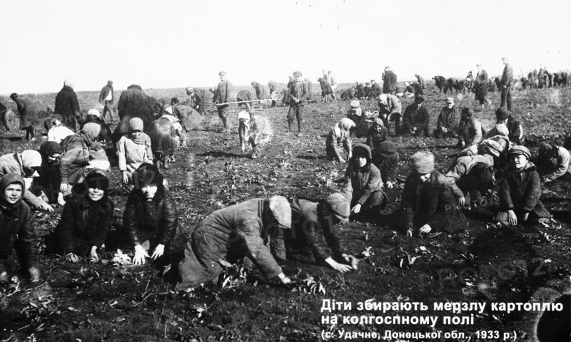 Children collect frozen potatoes in the collective farm's field, 1933' is on view at the exhibition 'declassified memory' in kiev, where documents from the archives of the ukrainian security service on golodomor, or the engineered famine of 1932 - 1933s, are displayed, the exhibition features criminal files of political repressions victims and firsthand testimony.