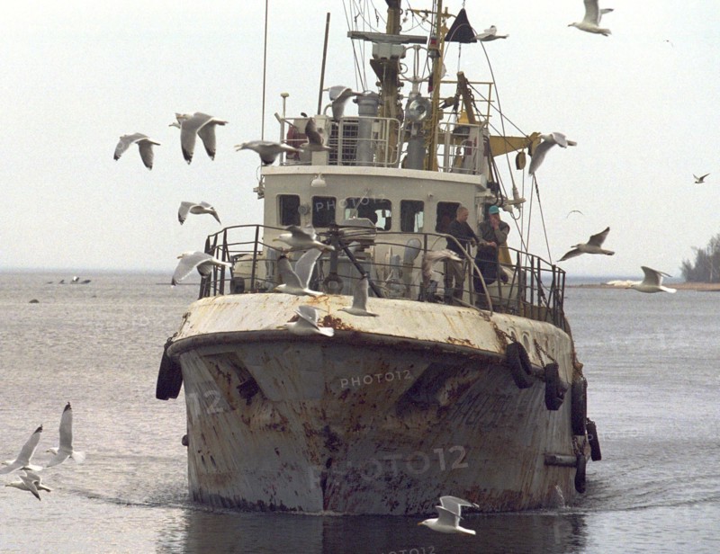 Leningrad region, russia, one of the ships returning home with a goog catch (in pic), the collective enterprise 'baltika' is the only business in the region with the full production cycle from fishing to packing ready produce, the facility gives 3,000 tonnes of fresh and 13mln cans of processed sprats, april 29, 2002.