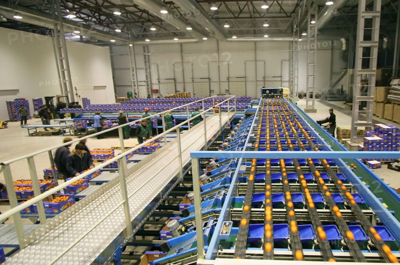 Packaging of the citrus plants at the abkhaz fruit company in the pitsunda resort area,the joint russian-abkhaz enterprise is fitted with modern spanish facilities and practices in treating, sorting and packaging mandarins, january 2006.