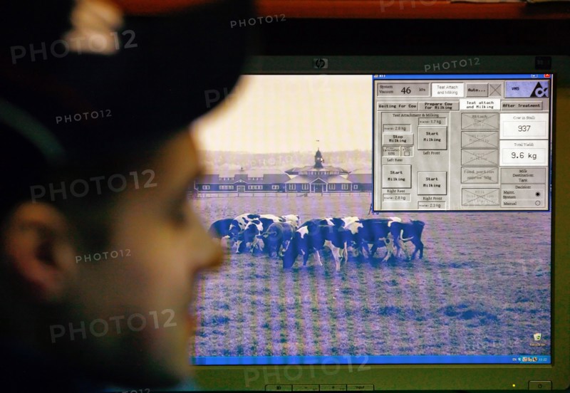 Operator looks at the computer monitor at the plemzavod rodina farm which is outfitted with delaval milking system, volgograd region of russia, february 5, 2008.