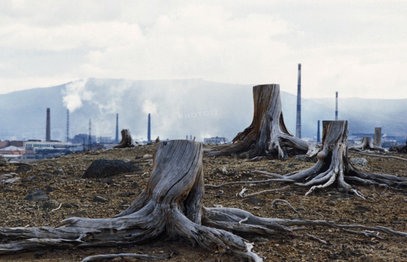 Taiga forest destroyed by pollution near the severonikel metallurgical plant in monchegorsk in the murmansk region, kola peninsula, russia, the plant is russia's 3rd largest, 1998.