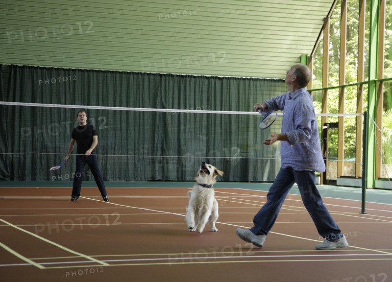 Sochi, russia, august 14, 2009, prime minister of russia vladimir putin and russian president dmitry medvedev (l) play badminton, as medvedev's golden retriever aldo runs around, after a working meeting at the bocharov ruchei presidential residence.