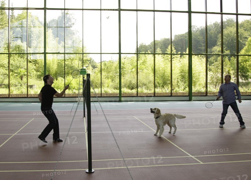 Sochi, russia, august 14, 2009, prime minister of russia vladimir putin and russian president dmitry medvedev (l) play badminton, as medvedev's golden retriever aldo runs around, after a working meeting at the bocharov ruchei presidential residence.