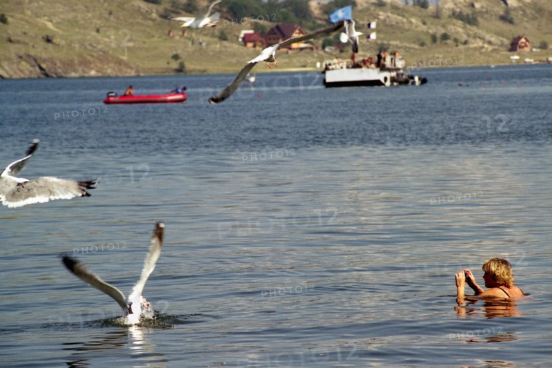 Irkutsk region, russia, a woman swimming in lake baikal, the world's deepest lake, august 2005.