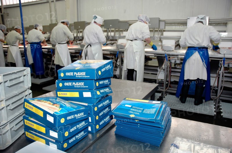 Murmansk, russia, july 9, 2008, workers pack finishing products of the nord-west fish processing plant.