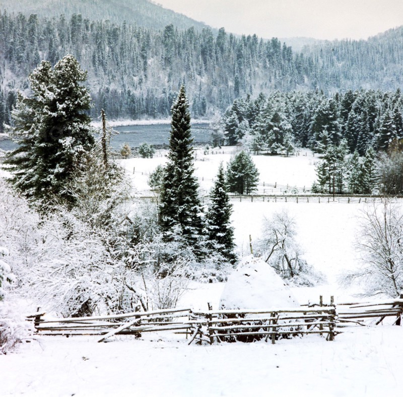 A winter scene in the altai region of russia.