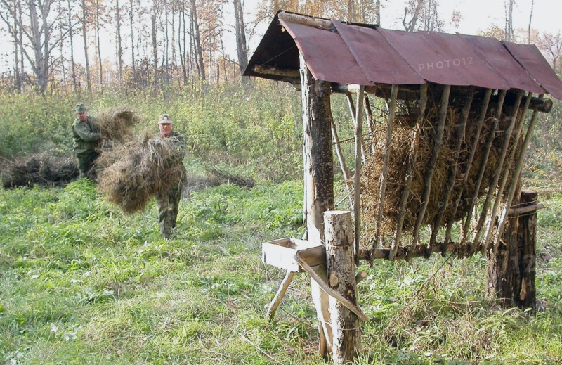 Waterfowl hunting in the southern urals, chelyabinsk region, russia.