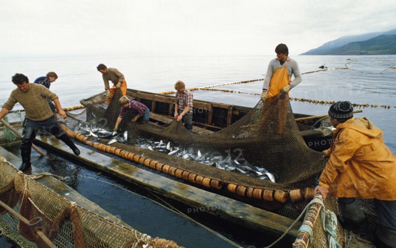 Fishing for salmon near the island of iturup, kuril islands, siberia, russia.