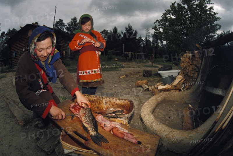 Mother with her daughter gutting a fish for lunch at a khanty nomadic camp in the tyumen region of siberia, march 1997.