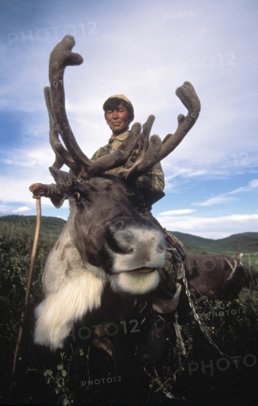 A reindeer breeder riding on a reindeer in the republic of tuva, russia, november 1998.