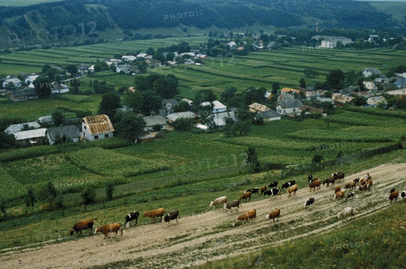 The 'iowa' farm in the lonovtsy district of the ternopol region, ukraine, 1989.
