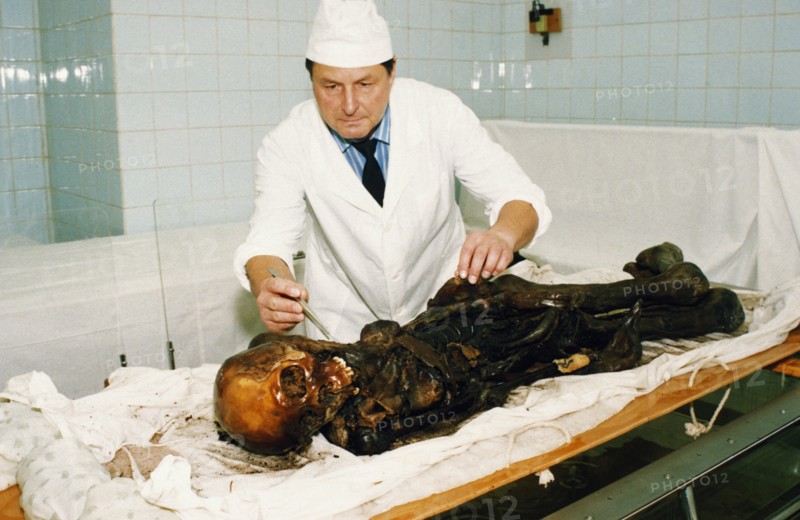 A scientist examining a 2,500 year old tattooed female mummy of a scythian princess (known as 'black beauty') found frozen in the permafrost of the ukok plateau, pasryk region, siberia, russia, 1994.
