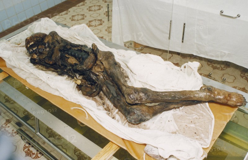 The mummified remains of a 2,500 year old scythian princess (known as 'black beauty') found frozen in the permafrost of the ukok plateau, pasryk region, siberia, russia, 1994.
