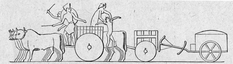 Chariot