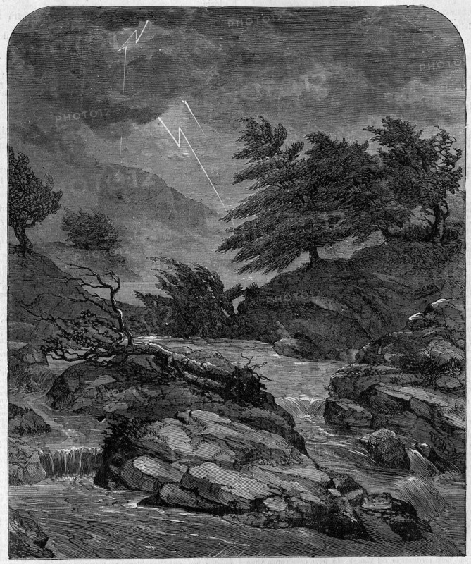 Religion The Holy Bible. The voice of the LORD breaks the cedars (XXXVIII 5)