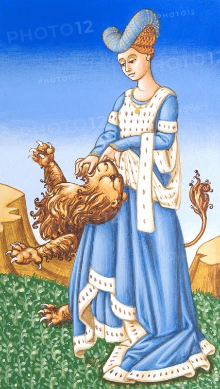 Creative illustration Middle Age in tarots. Force.