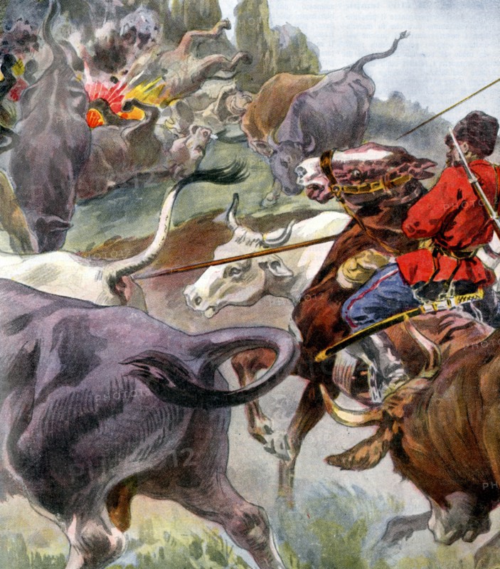 World War One 1914  1918 War on the Eastern front