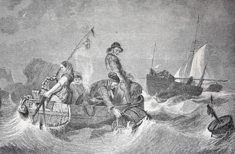 People From The German Island Helgoland Collecting Goods From The Sea