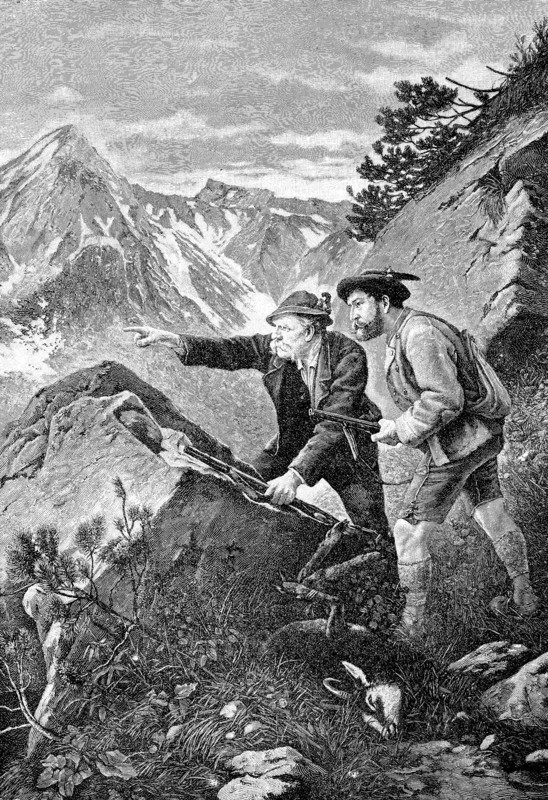 Hunting For Chamois