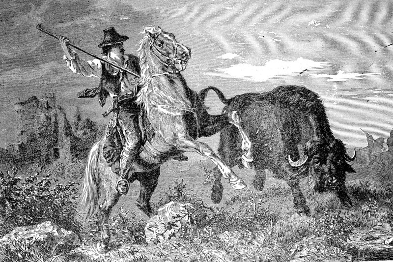 Buffalo Hunters In America