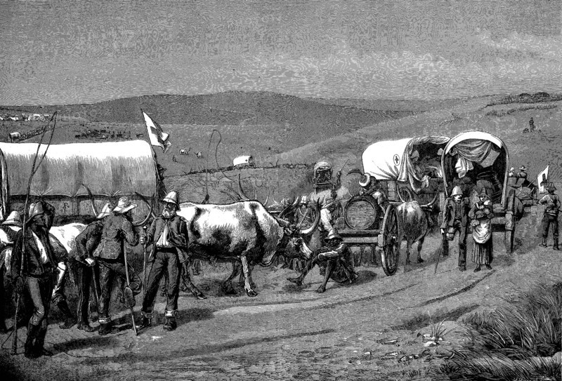 The Recent Revolt In The Transvaal