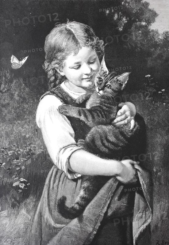 A Small Girl Hugging His Cat In The Garden