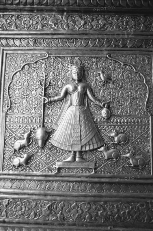 Karni mata at Rat temple , Bikaner , Rajasthan , India