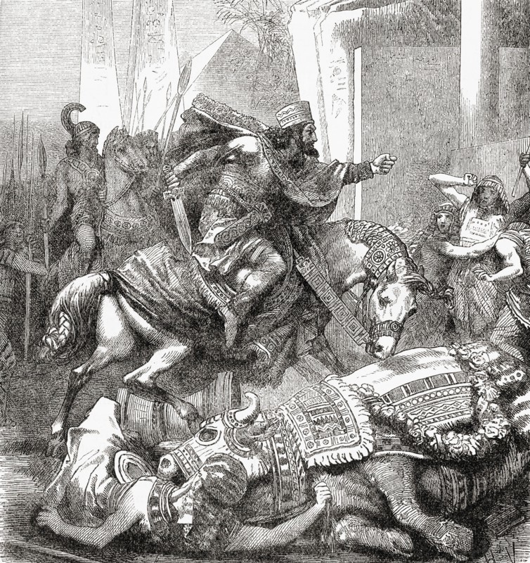Cambyses II killing the sacred bull Apis or Hapis