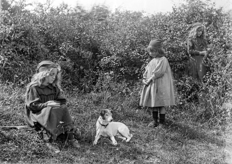 Glass Negative circa 1900