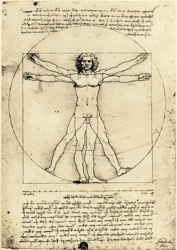 Vetruvian Man