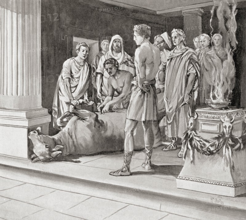 Auspices examining sacrifices