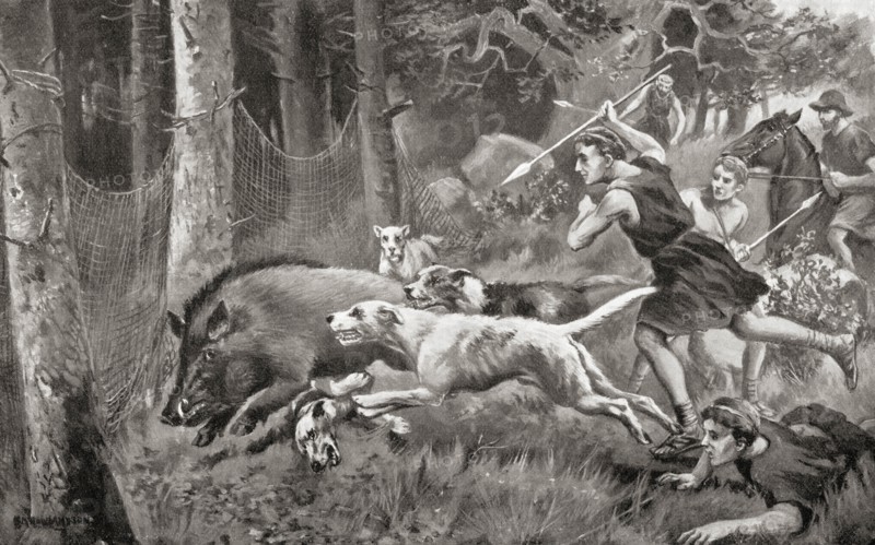 Hunting wild boar in ancient Rome