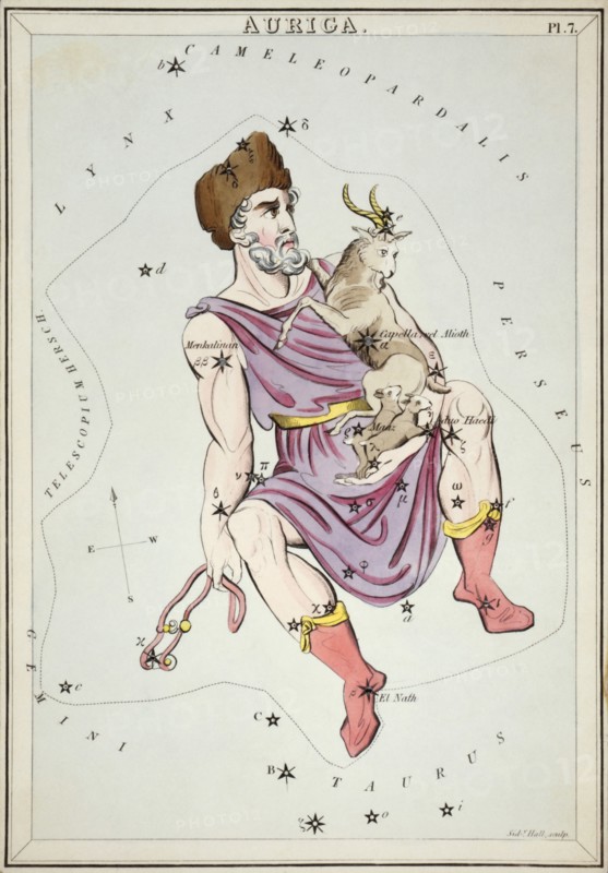 Auriga